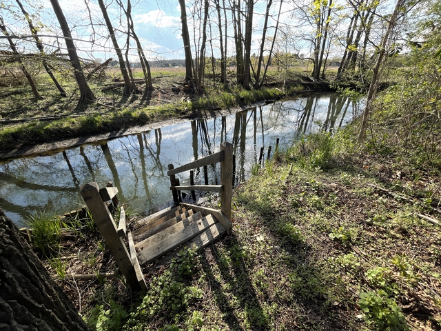 Bauen und chillen in Brandenburg